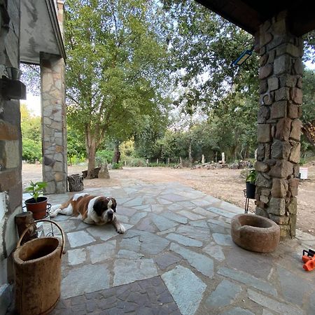 Agriturismo Pranu Sorgono Exterior foto