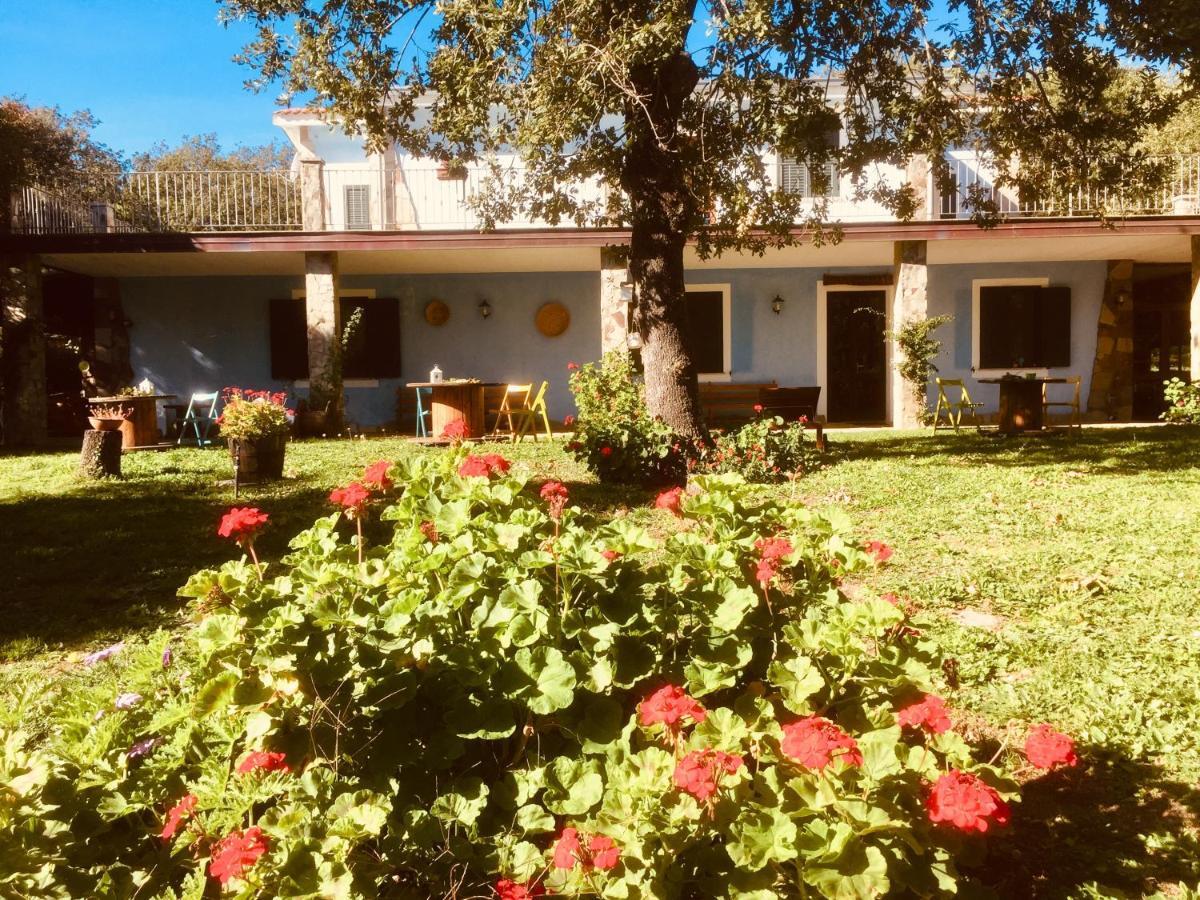 Agriturismo Pranu Sorgono Exterior foto